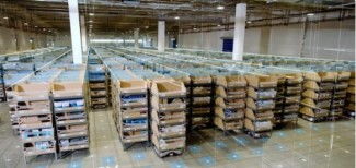 京東物流再亮劍 探秘倉儲(chǔ)自動(dòng)化新科技如何重塑行業(yè)格局