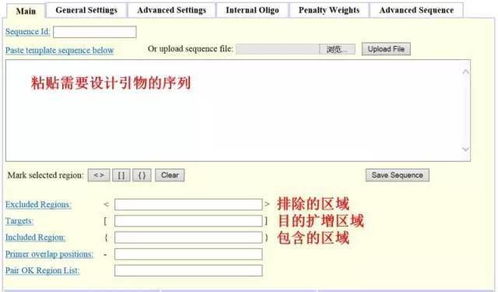 設(shè)計(jì)引物怕踩坑？這3款在線軟件輕松掃雷——淄博軟件設(shè)計(jì)指南